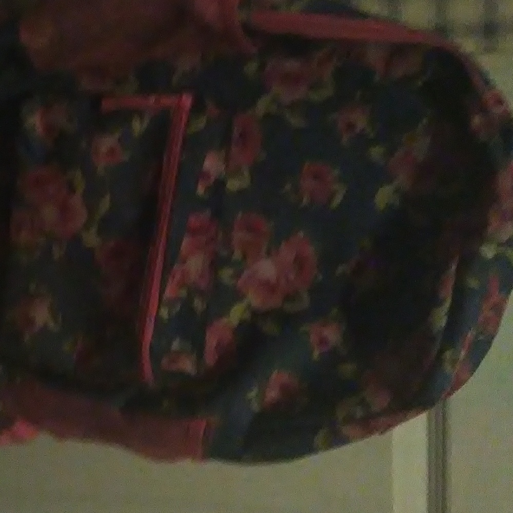 Backback - Picture 4 of 4